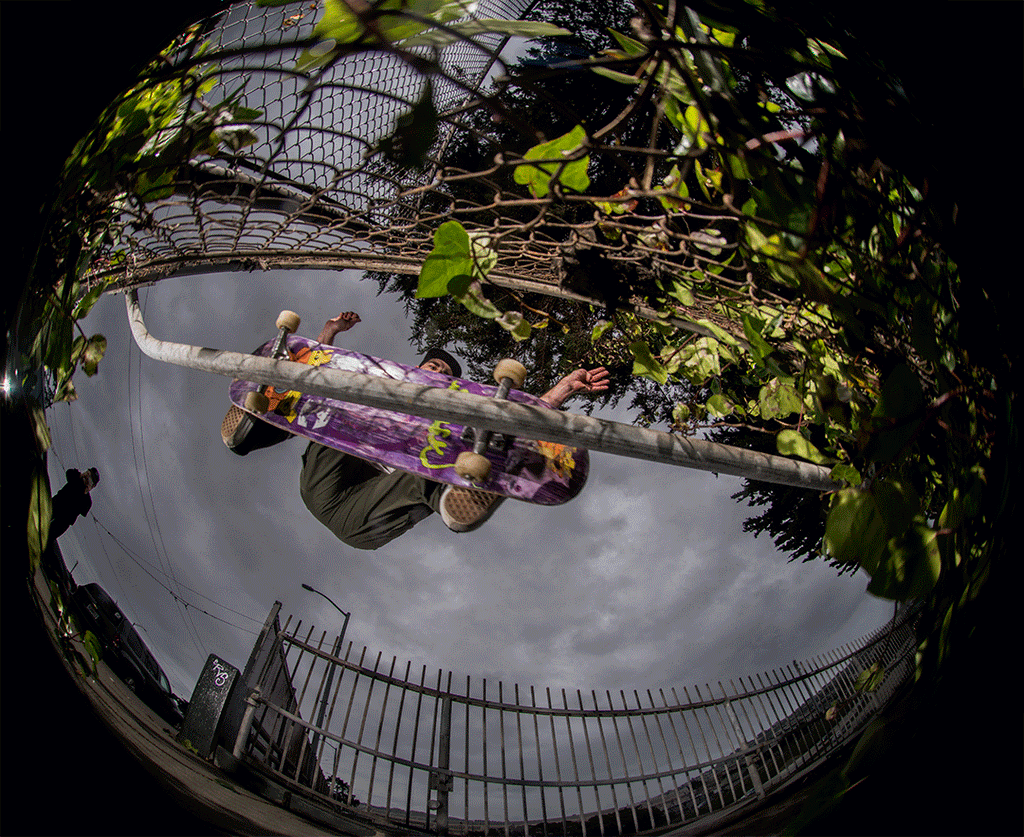 Brinkerhoff and Riviera for Tadashi Filters